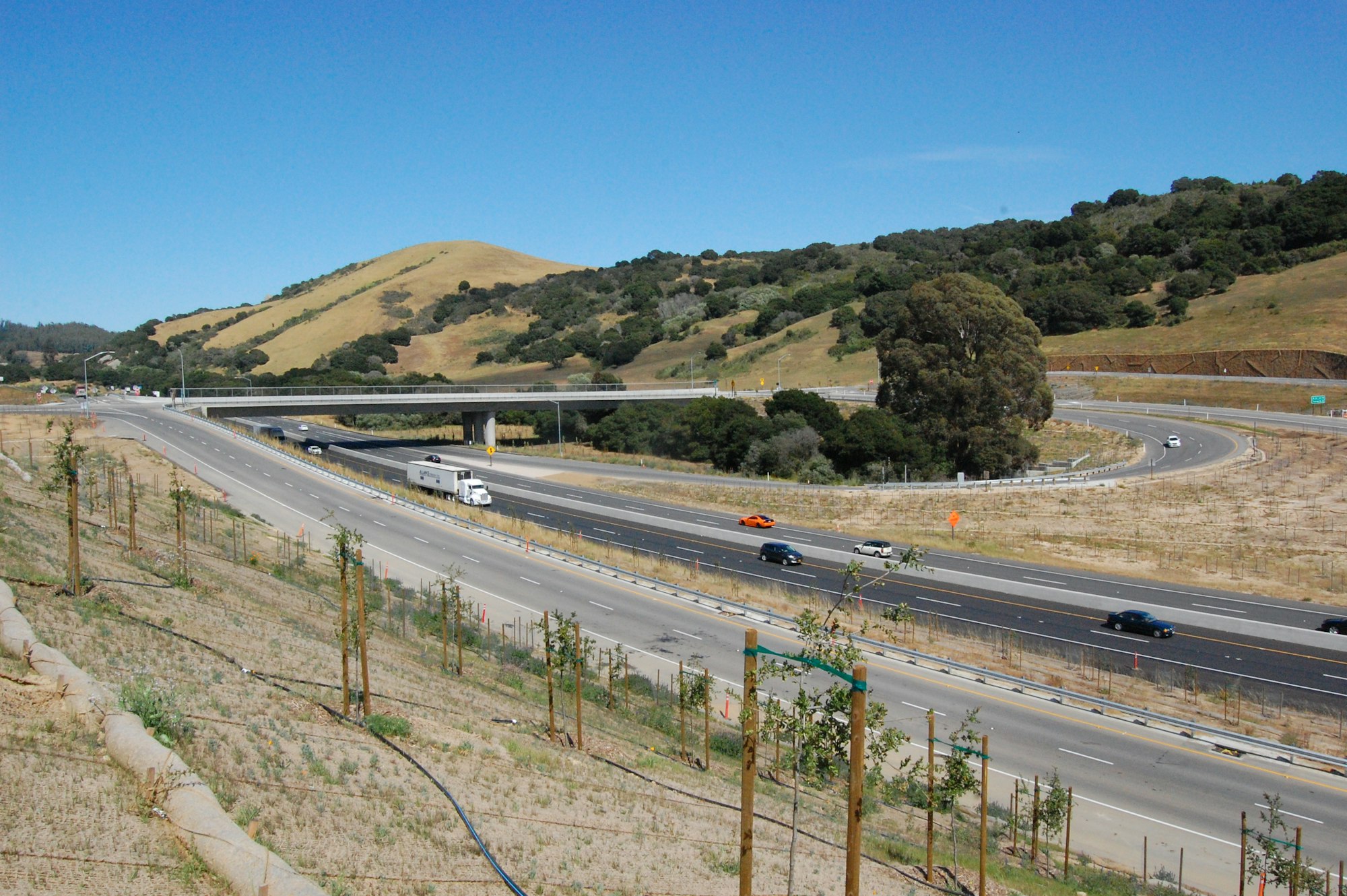Prunedale